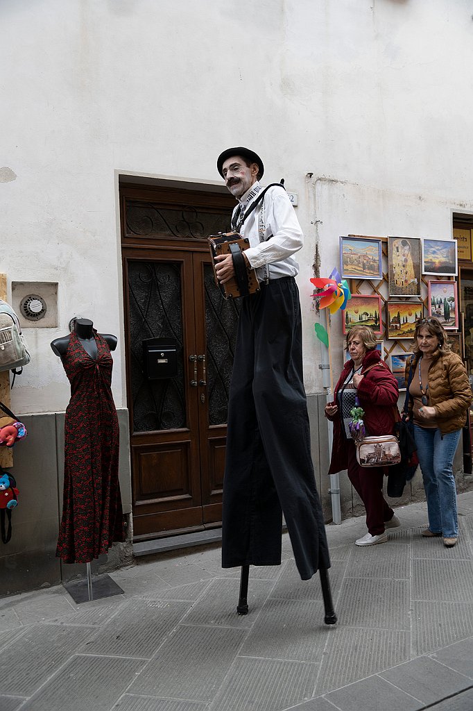 Festa del tulipano (Castiglion del lago) (6).jpg